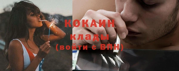 прущие крисы Верея