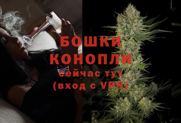 бошки Верхний Тагил