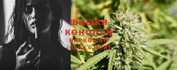 стаф Волосово