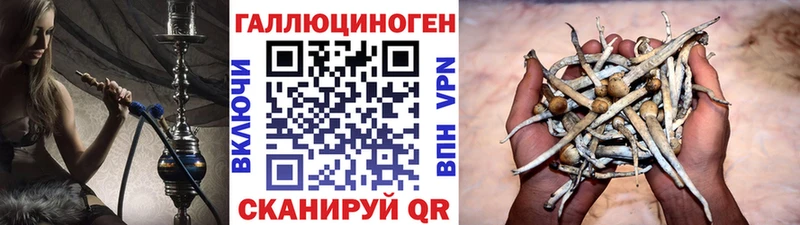 Галлюциногенные грибы мухоморы Вятские Поляны