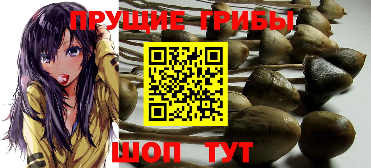 Галлюциногенные грибы GOLDEN TEACHER Вятские Поляны