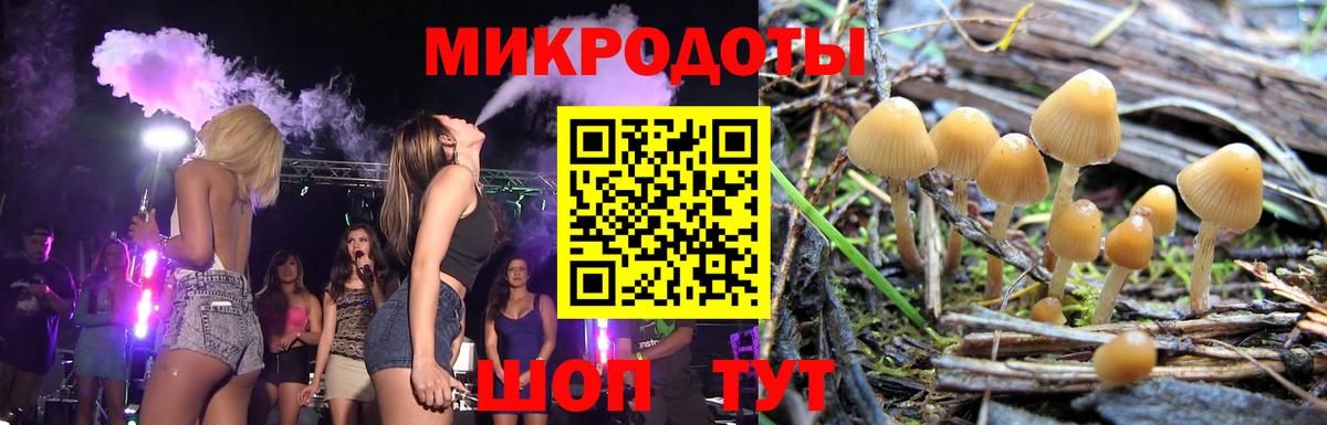 Псилоцибиновые грибы Cubensis  Вход с VPN  Вятские Поляны 